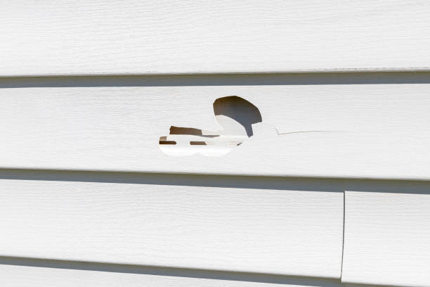 Professional Siding Installation & Repair in North Star, DE